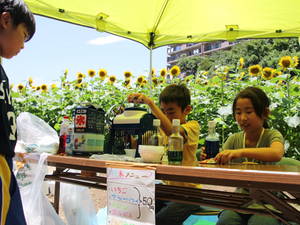 kanasugihimawari 007.jpg